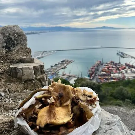Vico Porta Di Mare Lägenhet Salerno
